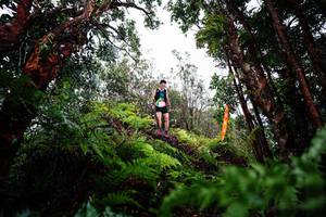 BIB: 
                            <button type="button" onclick="openModal(26204602)" class="btn btn-primary btn-sm float-right btn-popup" data-toggle="modal" data-target=".modal-high-quality">
                        <i class="fas fa-shopping-cart"></i> Add to Cart
                    </button>
                                            <button type="button" onclick="isThisMe(26204602, true)" class="btn btn-success btn-sm float-right btn-popup btn-isme hidden" data-toggle="tooltip" data-placement="bottom" title="นี่คือรูปของคุณใช่ไหม คลิกที่นี่เพื่อเอาเข้าอัลบั้ม">
                        <i class="fas fa-plus"></i> Add to album
                    </button>
                    <button type="button" onclick="isThisMe(26204602, false)" class="btn btn-warning btn-sm float-right btn-popup btn-isnotme hidden">
                        <i class="fas fa-ban"></i> Remove from album
                    </button>